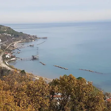 Moen فوساتشيزيا